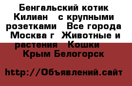 Бенгальский котик Килиан , с крупными розетками - Все города, Москва г. Животные и растения » Кошки   . Крым,Белогорск